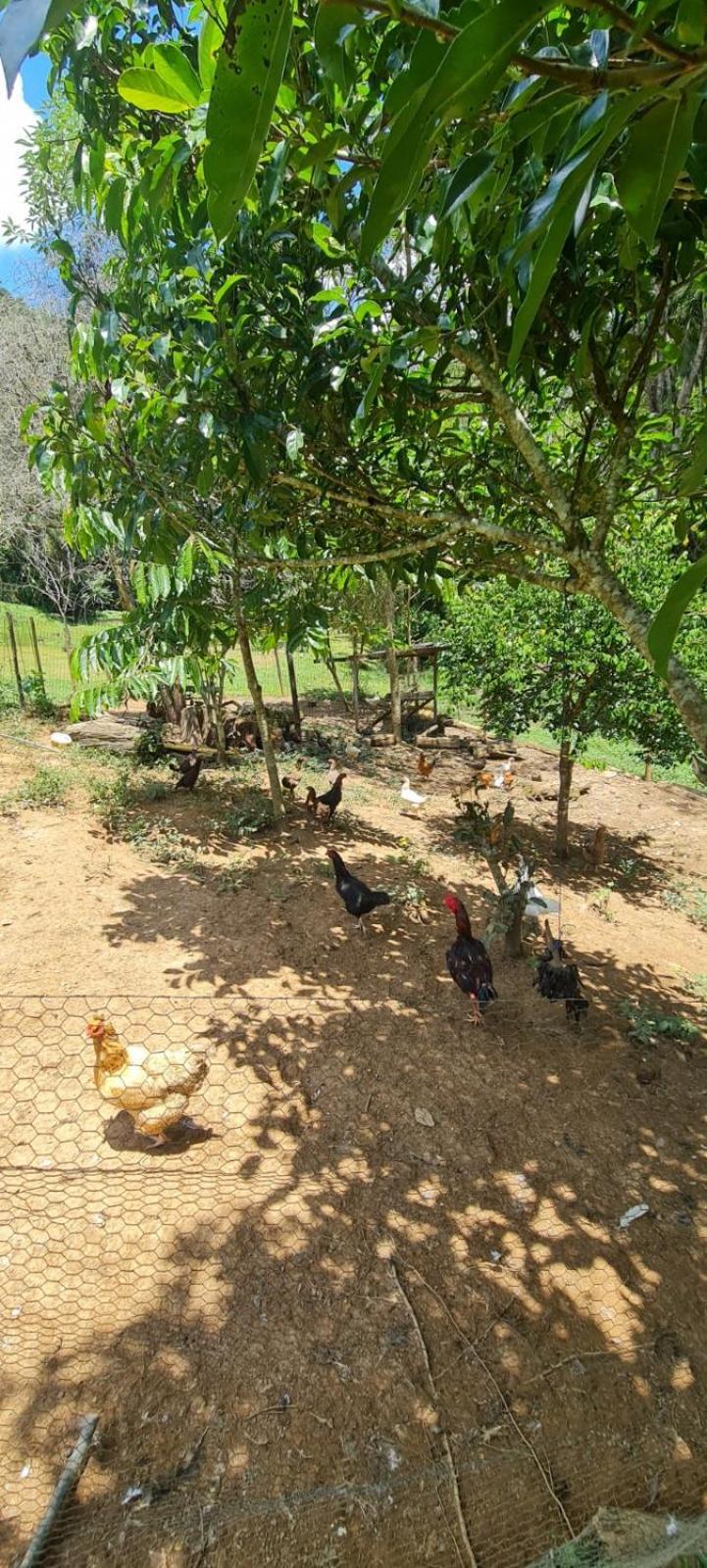 Sitio Saramandaia Villa Juquitiba Kültér fotó