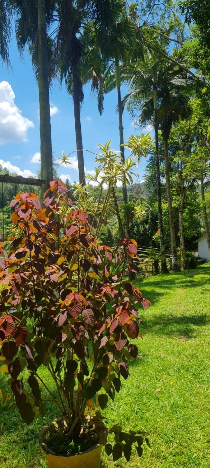 Sitio Saramandaia Villa Juquitiba Kültér fotó
